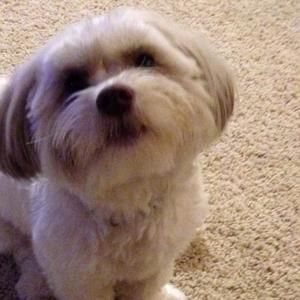 Meet your Posher, Bobbi